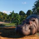 Анонс Planet Zoo — «ультимативного» симулятора зоопарка от авторов Elite Dangerous